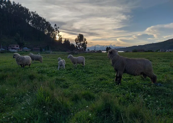 Casa di campagna Q'ello Qantu *